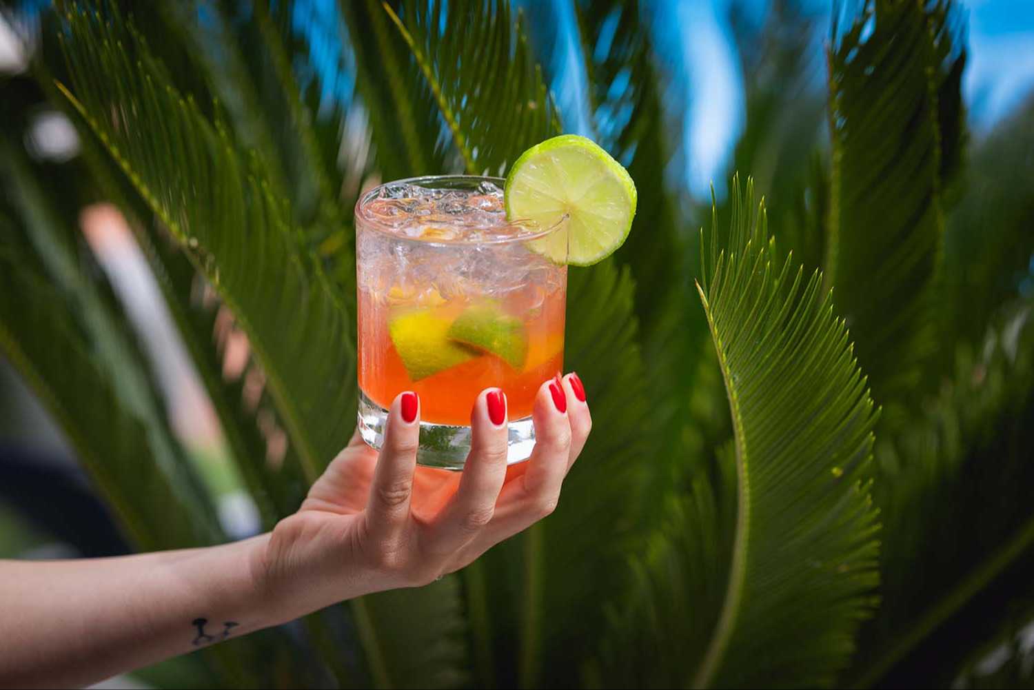 La Vela Bar & Restaurant - Bar