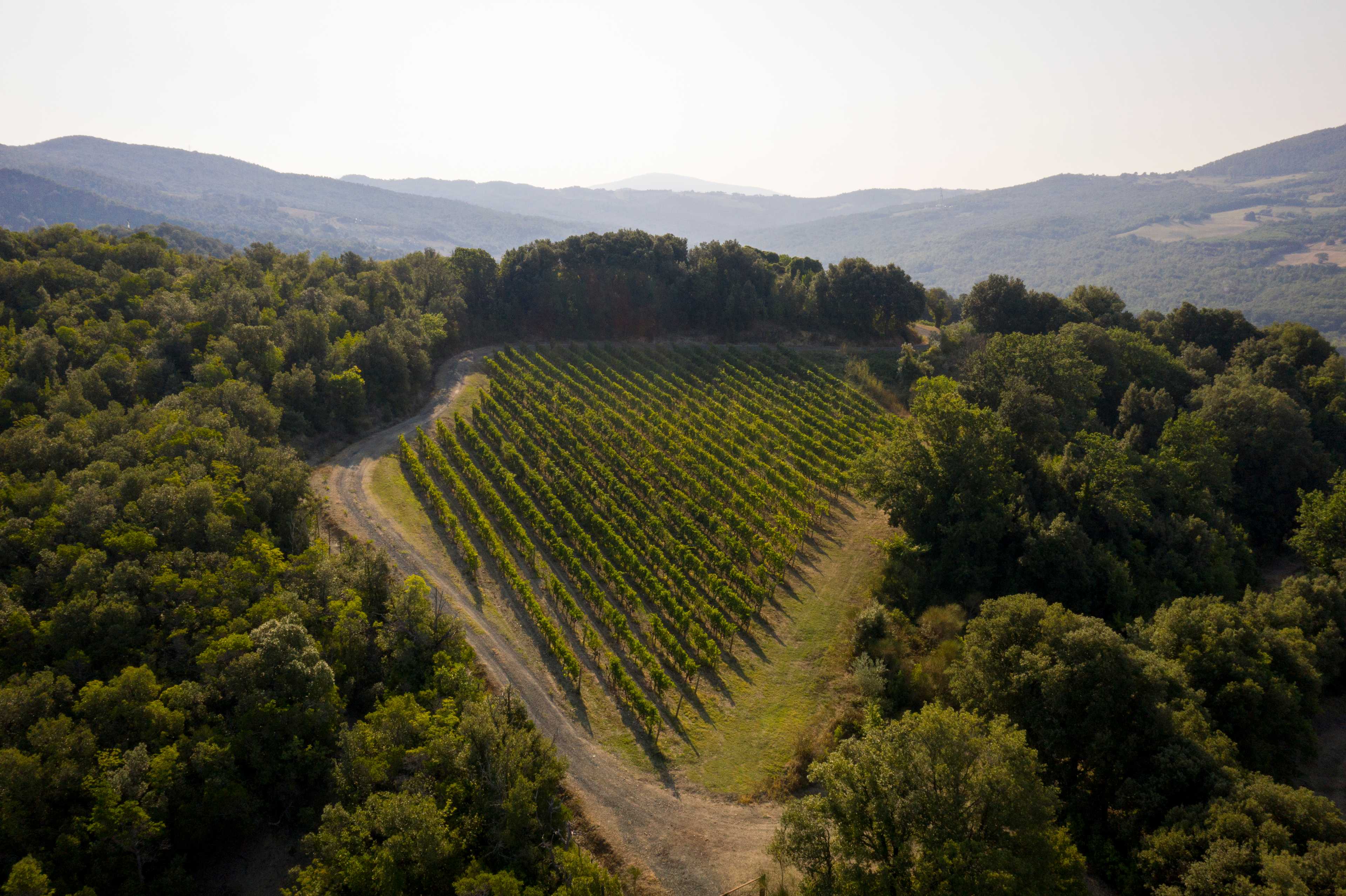 UNA Hotels Monterufoli Wine Country - Tour ed escursioni
