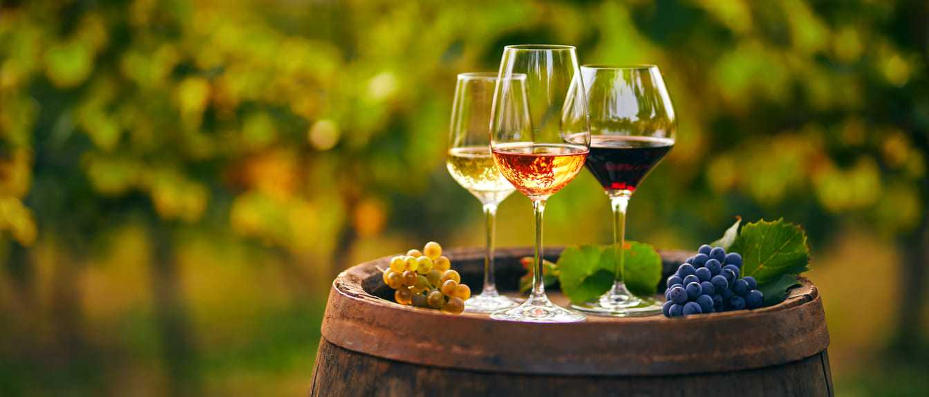 Tour Gastronomici in Italia