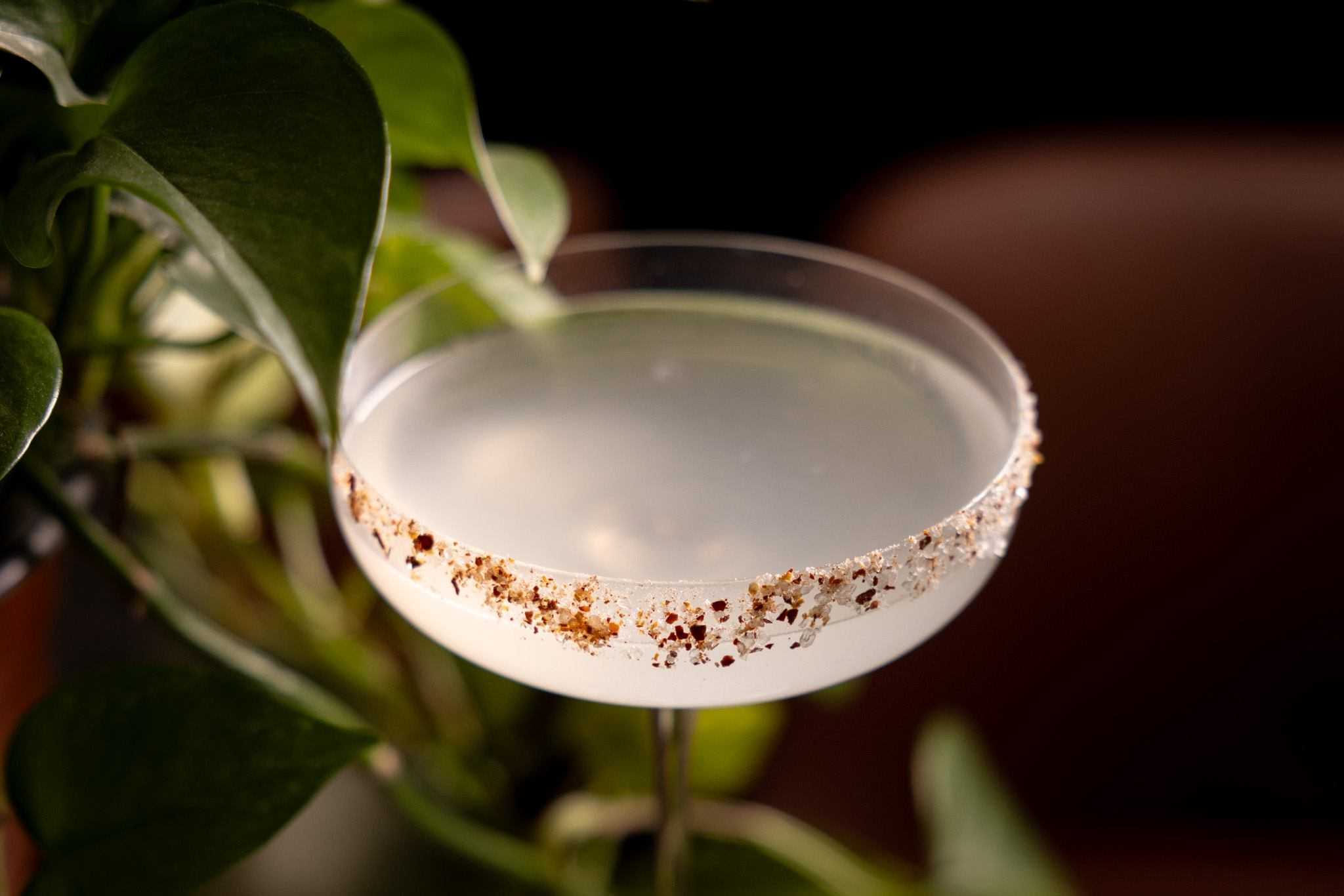 San Frediano Bar & Restaurant - Cocktail