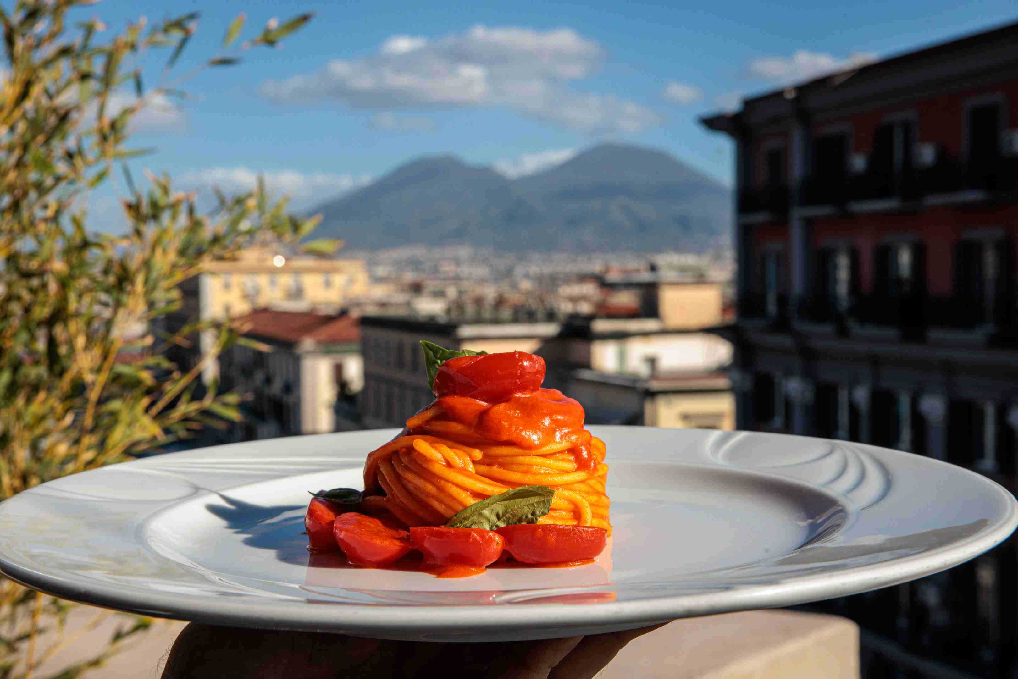 Vesuvio Roof Bar & Restaurant - Pranzo