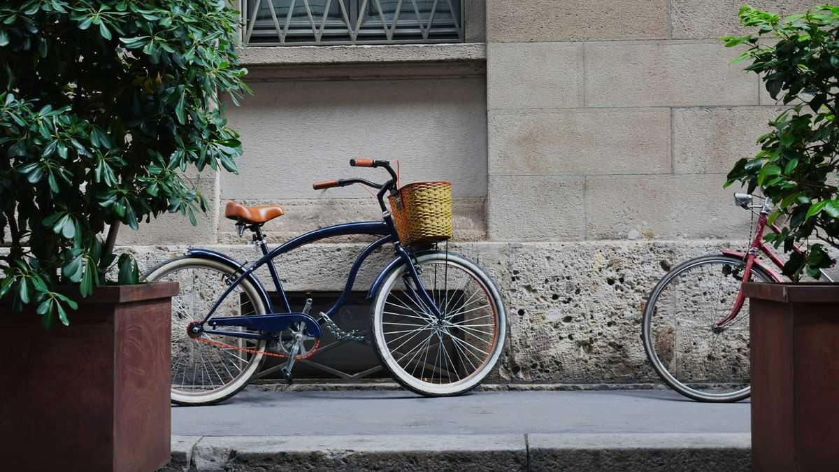 Hidden gems: the secret gardens behind the doors of Milan’s historical palazzi