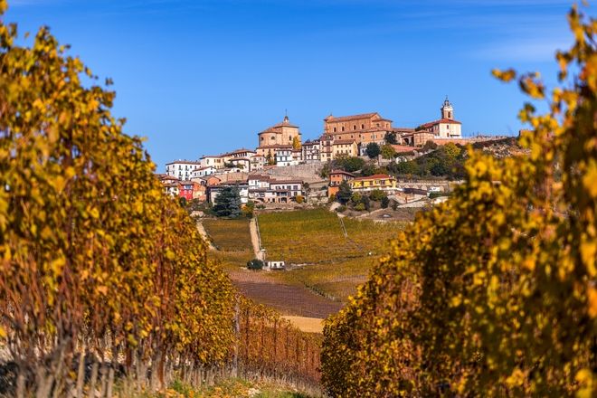 View of La Morra vineyards in autumn