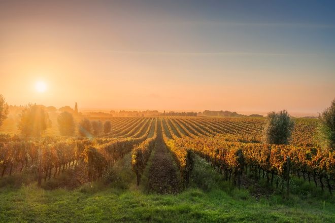 Bolgheri Al Tramonto Durante Il Foliage