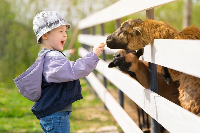 Pasqua 2026 Nella Natura