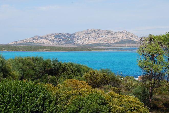 View Asinara National Park