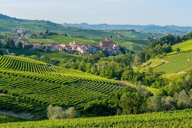 2 Tour Degustazione Langhe